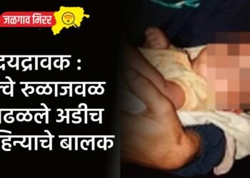 हृदयद्रावक : रेल्वे रुळाजवळ आढळले अडीच महिन्याचे बालक