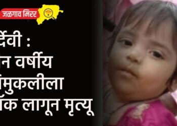 दुर्देवी : तीन वर्षीय चिमुकलीला शॉक लागून मृत्यू