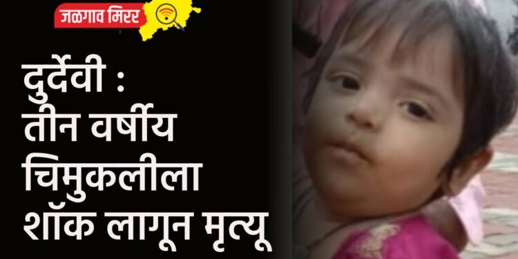 दुर्देवी : तीन वर्षीय चिमुकलीला शॉक लागून मृत्यू