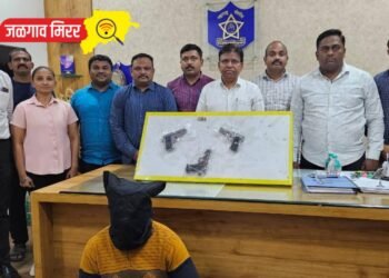 जळगावात तीन गावठी पिस्तूल, चार जिवंत काडतुसासह एकाला अटक