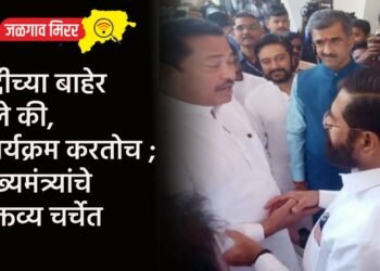 हद्दीच्या बाहेर गेले की, कार्यक्रम करतोच ; मुख्यमंत्र्यांचे वक्तव्य चर्चेत