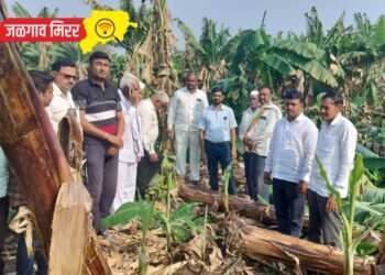 भाजपा किसान मोर्चा पोहोचला शेतकऱ्यांच्या बांधावर