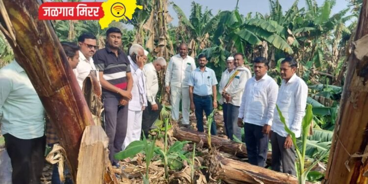 भाजपा किसान मोर्चा पोहोचला शेतकऱ्यांच्या बांधावर