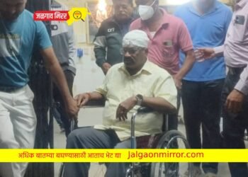 वाळू माफियांची दबंगगिरी : निवासी जिल्हाधिकाऱ्यांवर प्राणघातक हल्ला