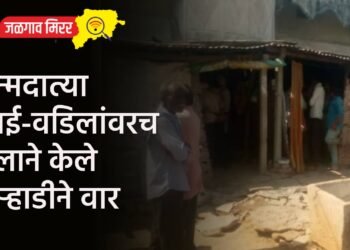 जन्मदात्या आई-वडिलांवरच मुलाने केले कुऱ्हाडीने वार