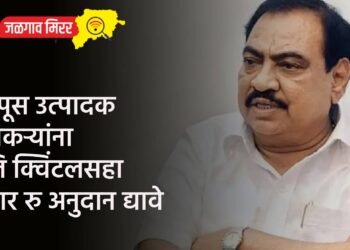 कापूस उत्पादक शेतकऱ्यांना प्रति क्विंटलसहा हजार रु अनुदान द्यावे