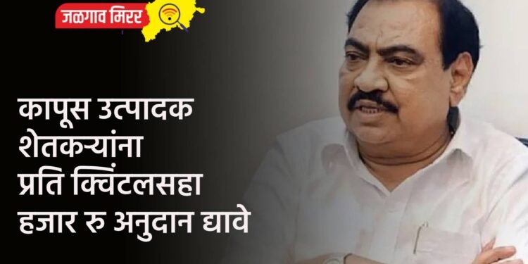 कापूस उत्पादक शेतकऱ्यांना प्रति क्विंटलसहा हजार रु अनुदान द्यावे