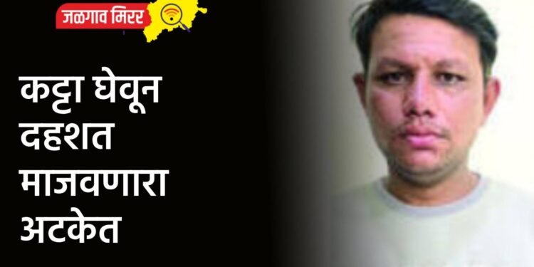 कट्टा घेवून दहशत माजवणारा अटकेत