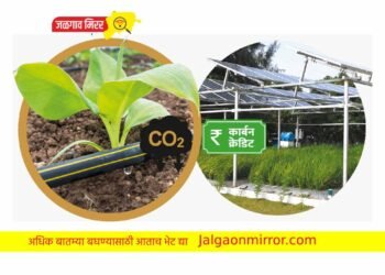 ‘अॅग्रीकल्चर फॉरेस्टरी अॅण्ड अदर लँड यूज’ प्रकल्पात सहभागी होण्याचे आवाहन