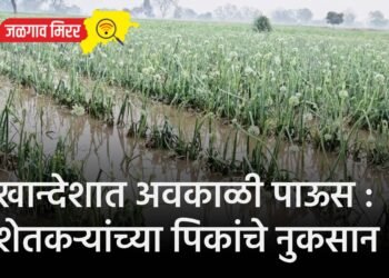 खान्देशात अवकाळी पाऊस : शेतकऱ्यांच्या पिकांचे नुकसान