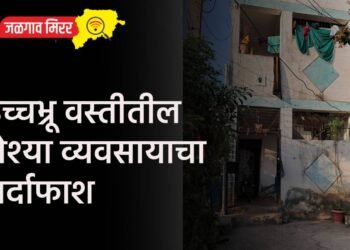 उच्चभ्रू वस्तीतील वेश्या व्यवसायाचा पर्दाफाश