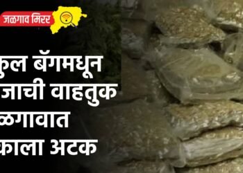 स्कुल बॅगमधून गांजाची वाहतुक : जळगावात एकाला अटक