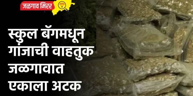 स्कुल बॅगमधून गांजाची वाहतुक : जळगावात एकाला अटक