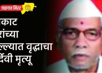 मोकाट गुरांच्या हल्ल्यात वृद्धाचा दुर्देवी मृत्यू