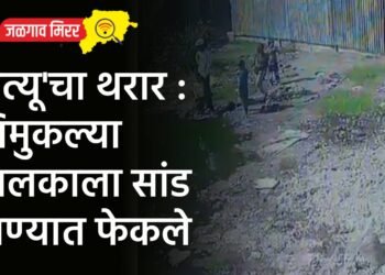 ‘मृत्यू’चा थरार : चिमुकल्या बालकाला सांड पाण्यात फेकले