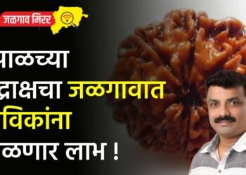 शिवभक्तांना आनंदाची बातमी : नेपाळच्या रुद्राक्षचा जळगावात भाविकांना मिळणार लाभ
