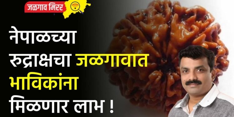 शिवभक्तांना आनंदाची बातमी : नेपाळच्या रुद्राक्षचा जळगावात भाविकांना मिळणार लाभ