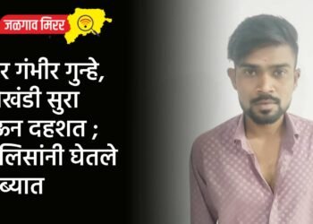 चार गंभीर गुन्हे, लोखंडी सुरा घेऊन दहशत ; पोलिसांनी घेतले ताब्यात