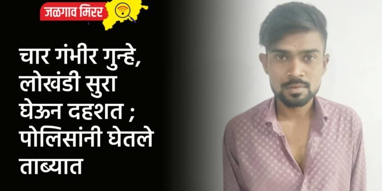 चार गंभीर गुन्हे, लोखंडी सुरा घेऊन दहशत ; पोलिसांनी घेतले ताब्यात