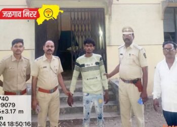 वन विभागाकडून कारवाई ; झाडाची चोरी करणाऱ्यास एकास कोठडी