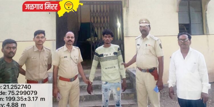 वन विभागाकडून कारवाई ; झाडाची चोरी करणाऱ्यास एकास कोठडी