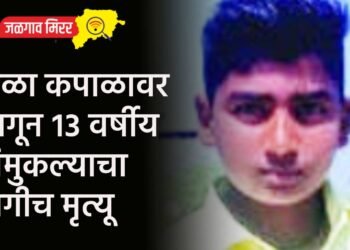 विळा कपाळावर लागून १३ वर्षीय चिमुकल्याचा जागीच मृत्यू