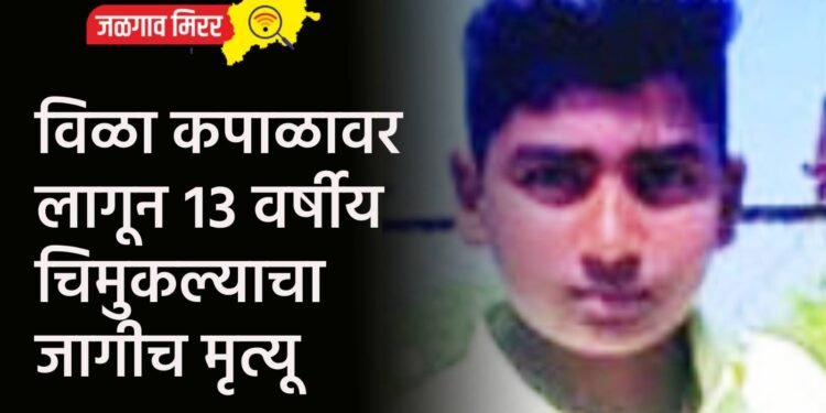 विळा कपाळावर लागून १३ वर्षीय चिमुकल्याचा जागीच मृत्यू