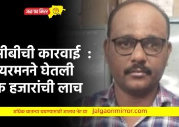 एसीबीची कारवाई : वायरमनने घेतली एक हजारांची लाच