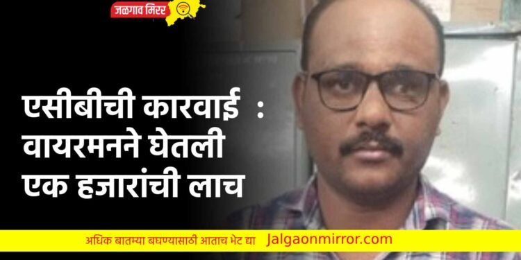 एसीबीची कारवाई : वायरमनने घेतली एक हजारांची लाच