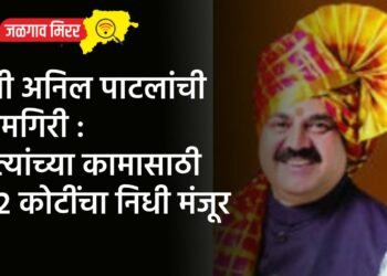 मंत्री अनिल पाटलांची कामगिरी : रस्त्यांच्या कामासाठी ३१२ कोटींचा निधी मंजूर