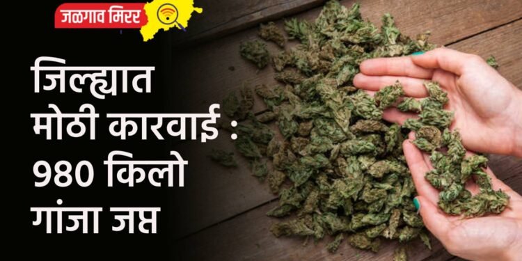 जिल्ह्यात मोठी कारवाई : ९८० किलो गांजा जप्त