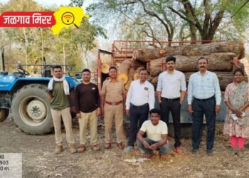 अवैधरित्या लाकूड वाहतूक करणाऱ्यावर गुन्हा दाखल