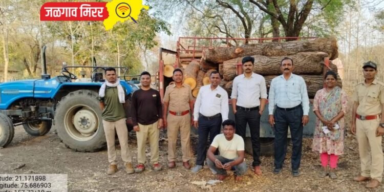 अवैधरित्या लाकूड वाहतूक करणाऱ्यावर गुन्हा दाखल