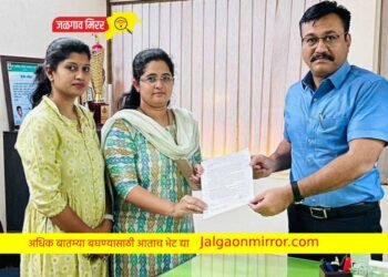 चिमुकल्यांच्या सुरक्षेसाठी सरसावल्या दोन माता, जिल्हाधिकाऱ्यांची घेतली भेट