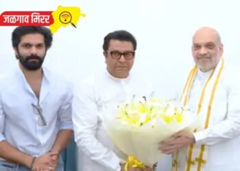 मोठी बातमी : राज ठाकरेंनी घेतली गृहमंत्री अमित शहांची भेट