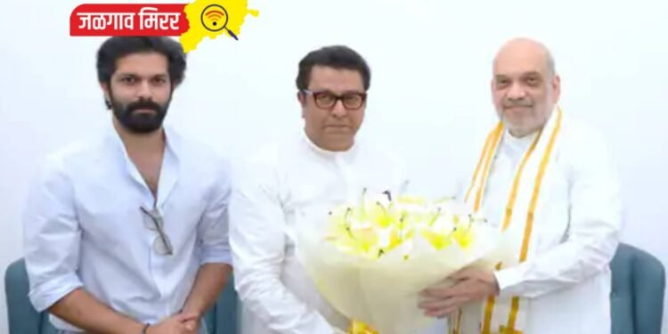 मोठी बातमी : राज ठाकरेंनी घेतली गृहमंत्री अमित शहांची भेट