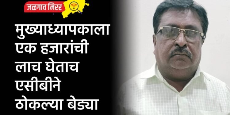 मुख्याध्यापकाला एक हजारांची लाच घेताच एसीबीने ठोकल्या बेड्या