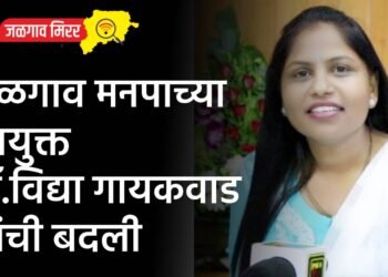 जळगाव मनपाच्या आयुक्त डॉ.विद्या गायकवाड यांची बदली