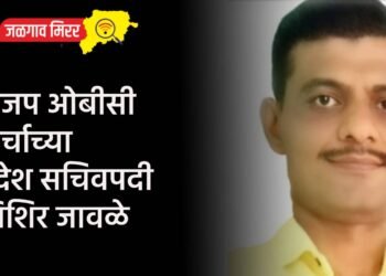 भाजप ओबीसी मोर्चाच्या प्रदेश सचिवपदी शिशिर जावळे