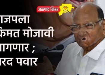 भाजपला किमत मोजावी लागणार ; शरद पवार