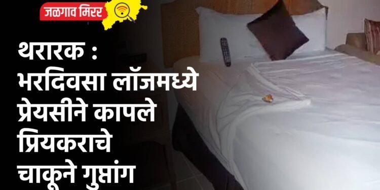 थरारक : भरदिवसा लॉजमध्ये प्रेयसीने कापले प्रियकराचे चाकूने गुप्तांग