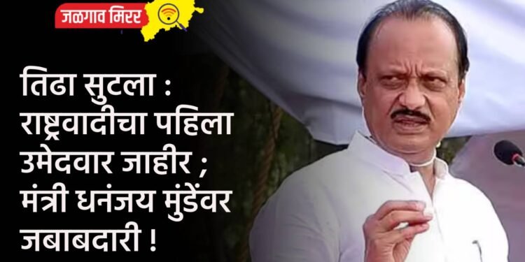 तिढा सुटला : राष्ट्रवादीचा पहिला उमेदवार जाहीर ; मंत्री धनंजय मुंडेंवर जबाबदारी !