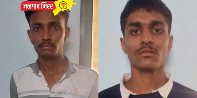 तिघांनी दिली पाच गुन्ह्याची कबुली : स्थानिक गुन्हे शाखेची कारवाई