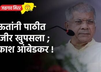 राऊतांनी पाठीत खंजीर खुपसला ; प्रकाश आंबेडकर !