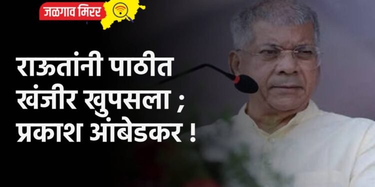 राऊतांनी पाठीत खंजीर खुपसला ; प्रकाश आंबेडकर !