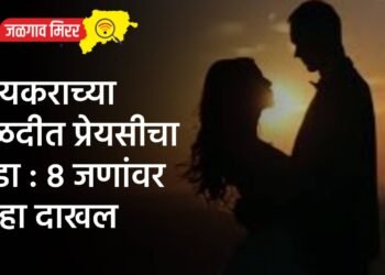 शिरसोलीत दगडफेक : नागरिकांसह होमगार्ड जखमी !