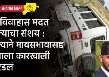 प्रेमविवाहास मदत केल्याचा संशय : पित्याने मावसभावासह मुलाला कारखाली चिरडलं