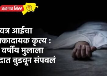 सावत्र आईचा धक्कादायक कृत्य : १० वर्षीय मुलाला हौदात बुडवून संपवलं