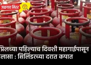 जळगावात मोकाट कुत्र्यांची दहशत : ११ बकऱ्यांचा पाडला फडशा