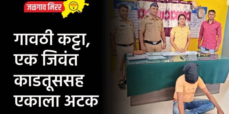 जळगावात मोकाट कुत्र्यांची दहशत : ११ बकऱ्यांचा पाडला फडशा